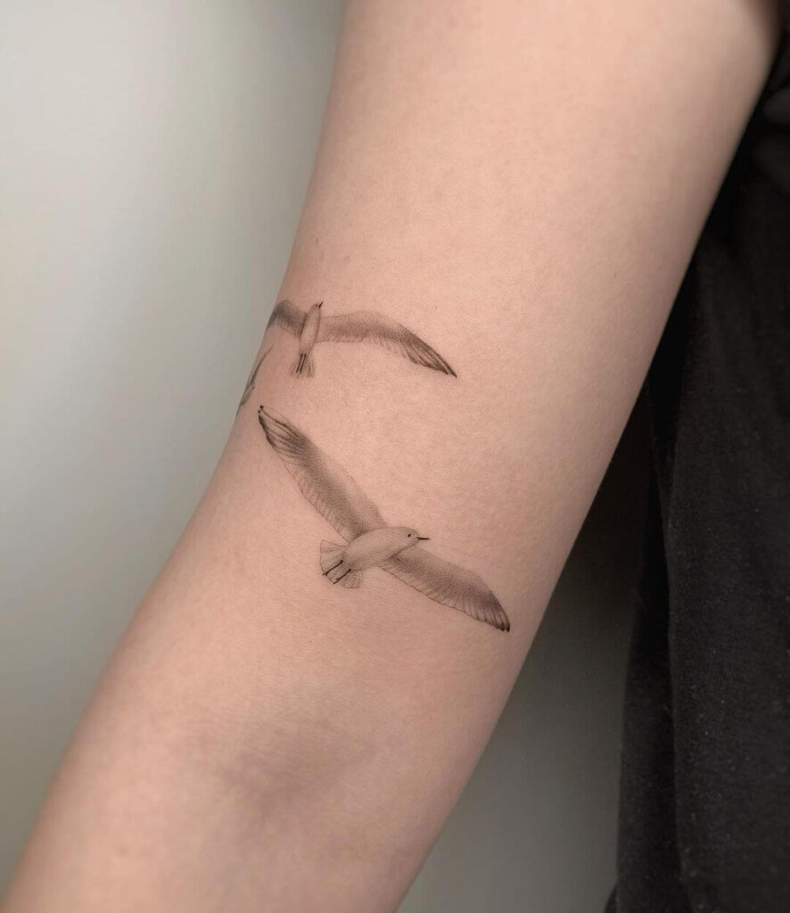 Seagull tattoo