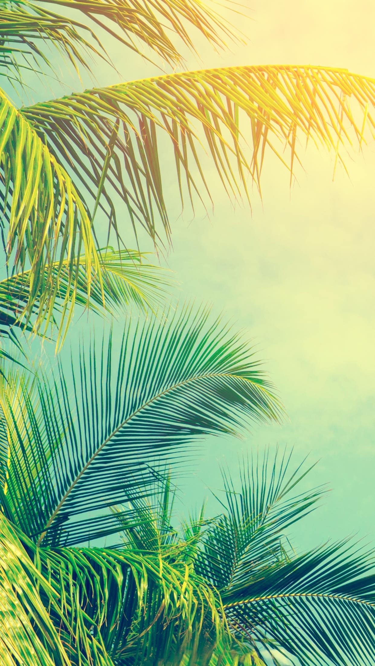 20 Lovely Summer Phone Wallpapers