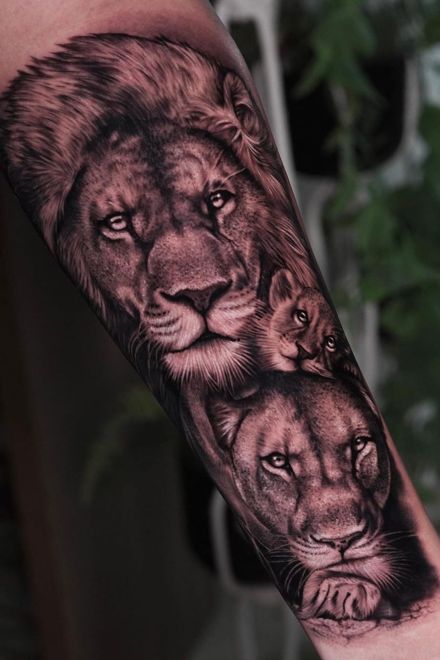 Family Lion Tattoo