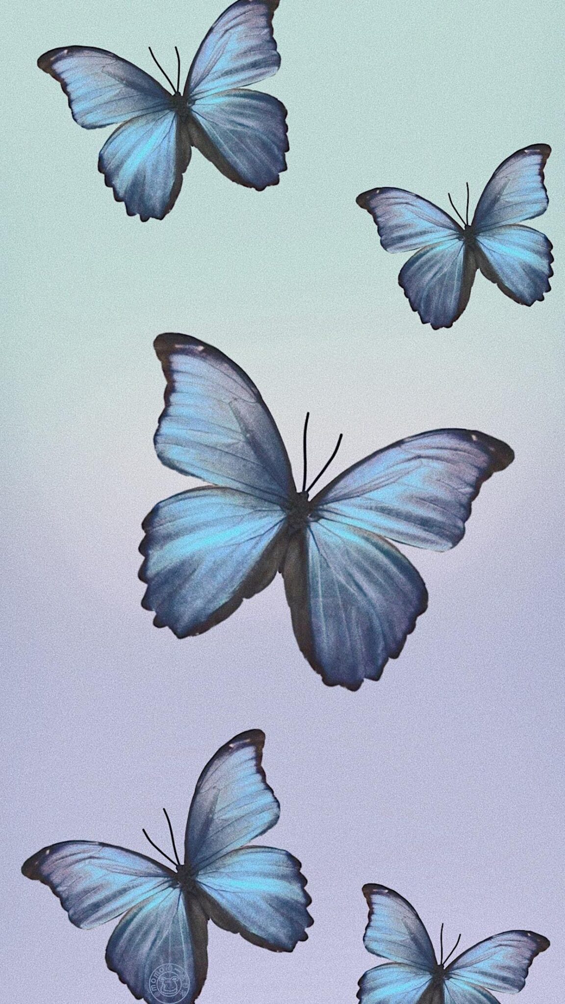 22 Stunning Butterfly Phone Wallpapers