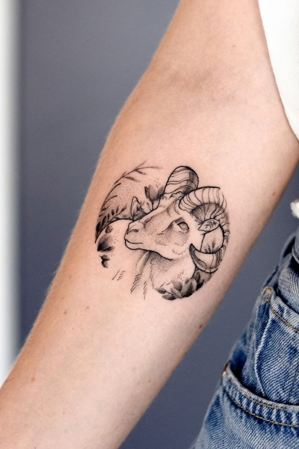 Aries Ram Tattoo For Women