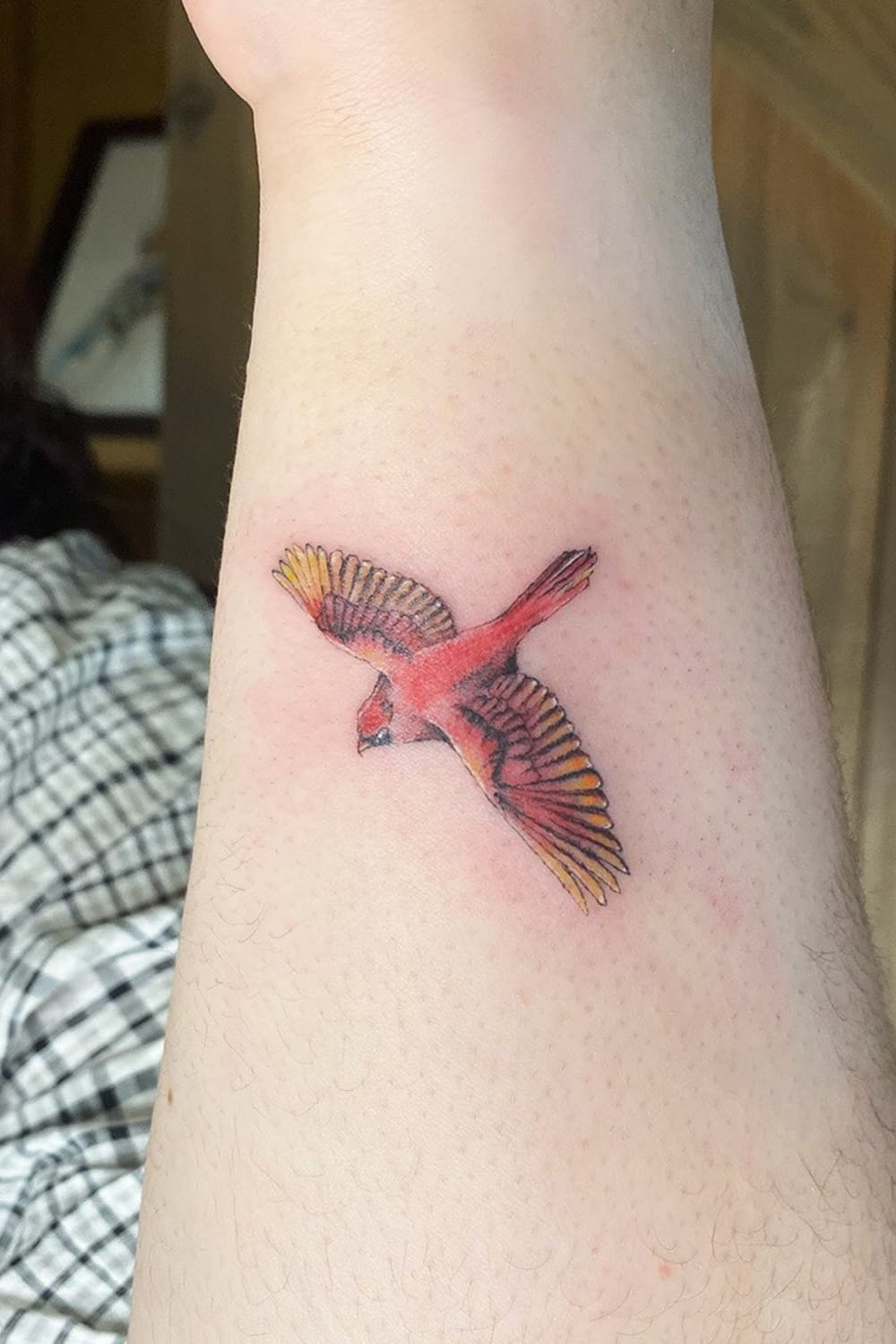 Small colorful cardinal tattoo