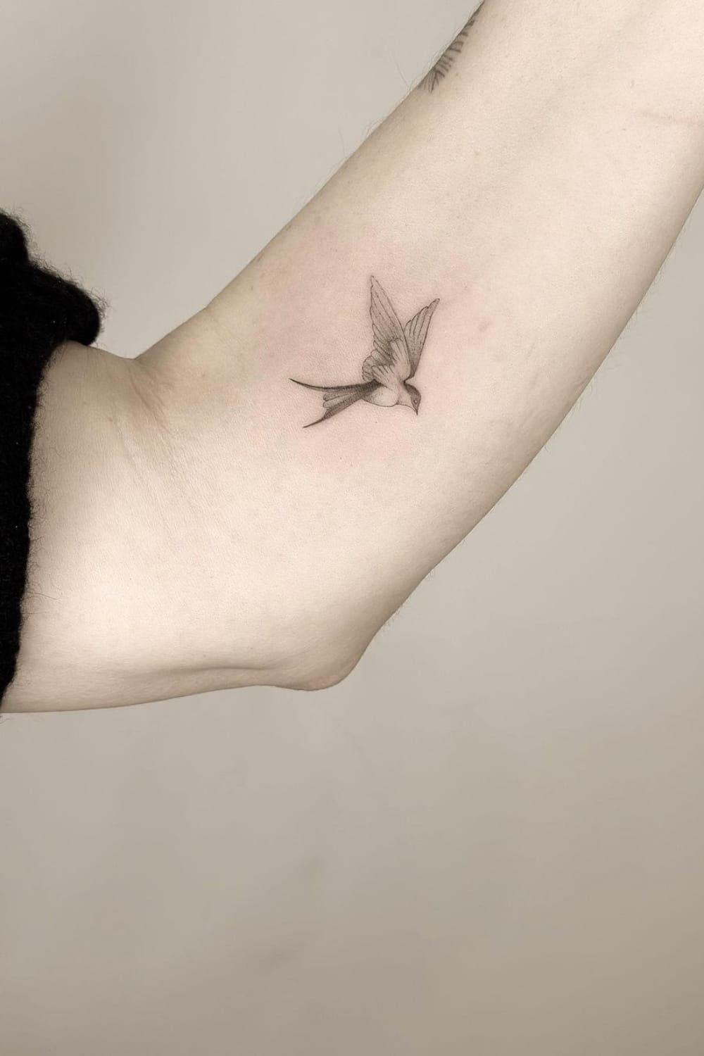 41 Unique Swallow Tattoo Ideas With Meaning