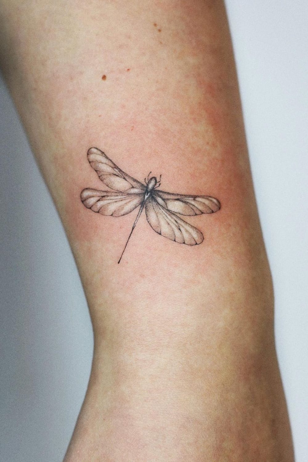 Black and White Dragonfly Tattoo