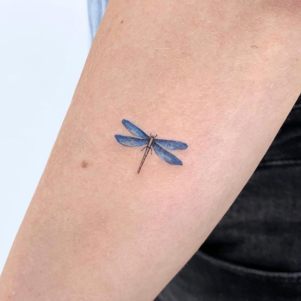 Blue Dragonfly Tattoo