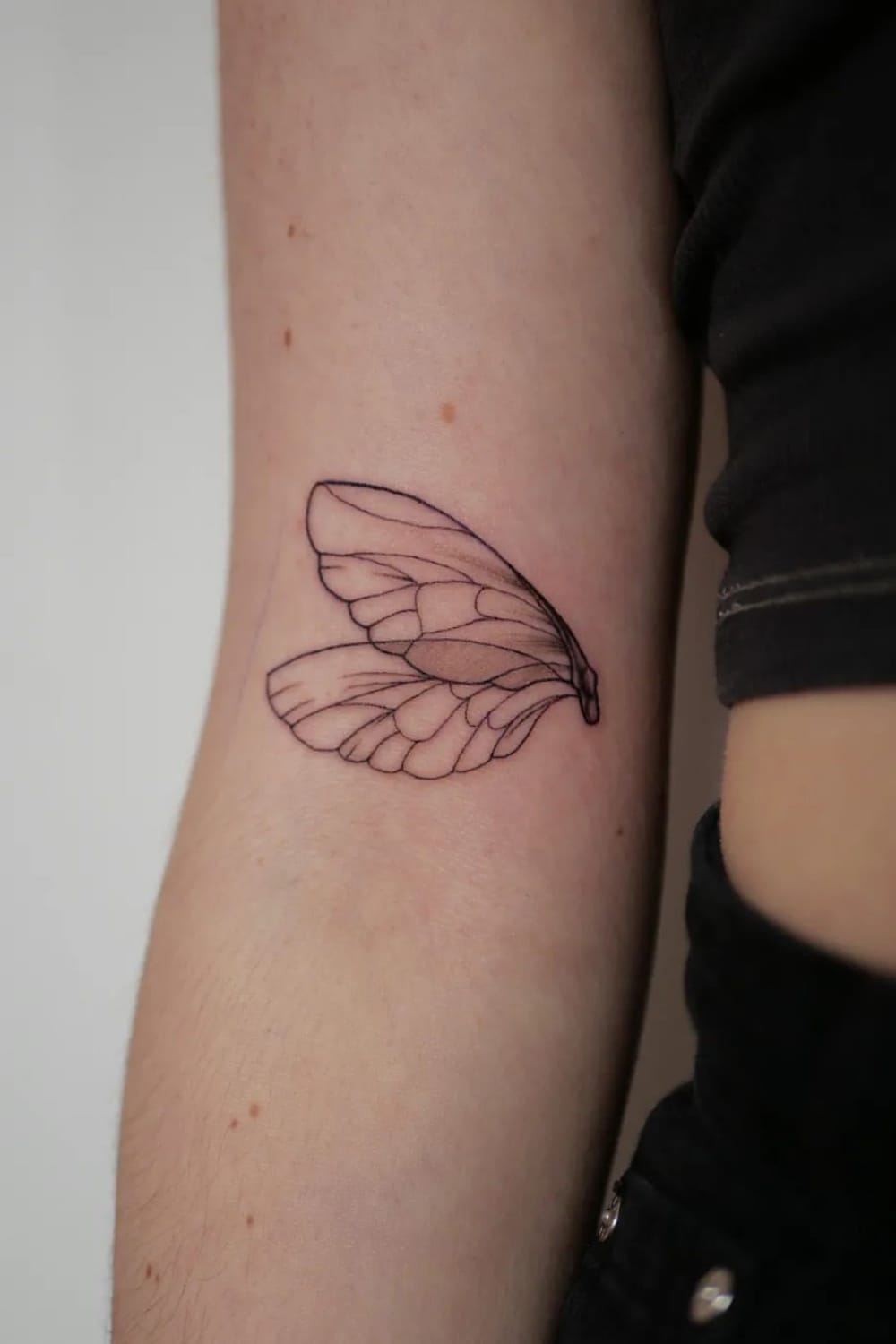 Dragonfly Wings Tattoo