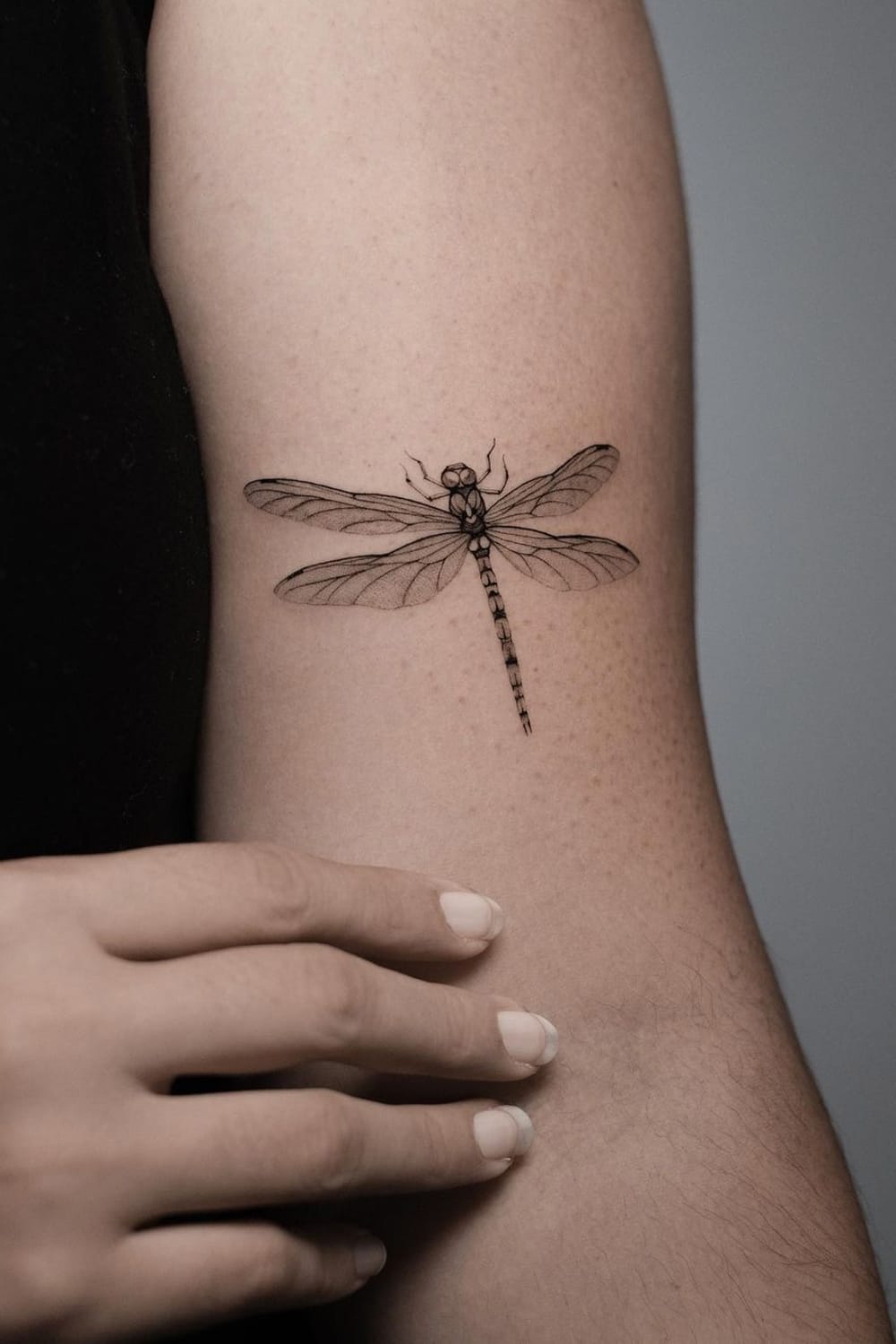 Realistic Dragonfly Tattoo