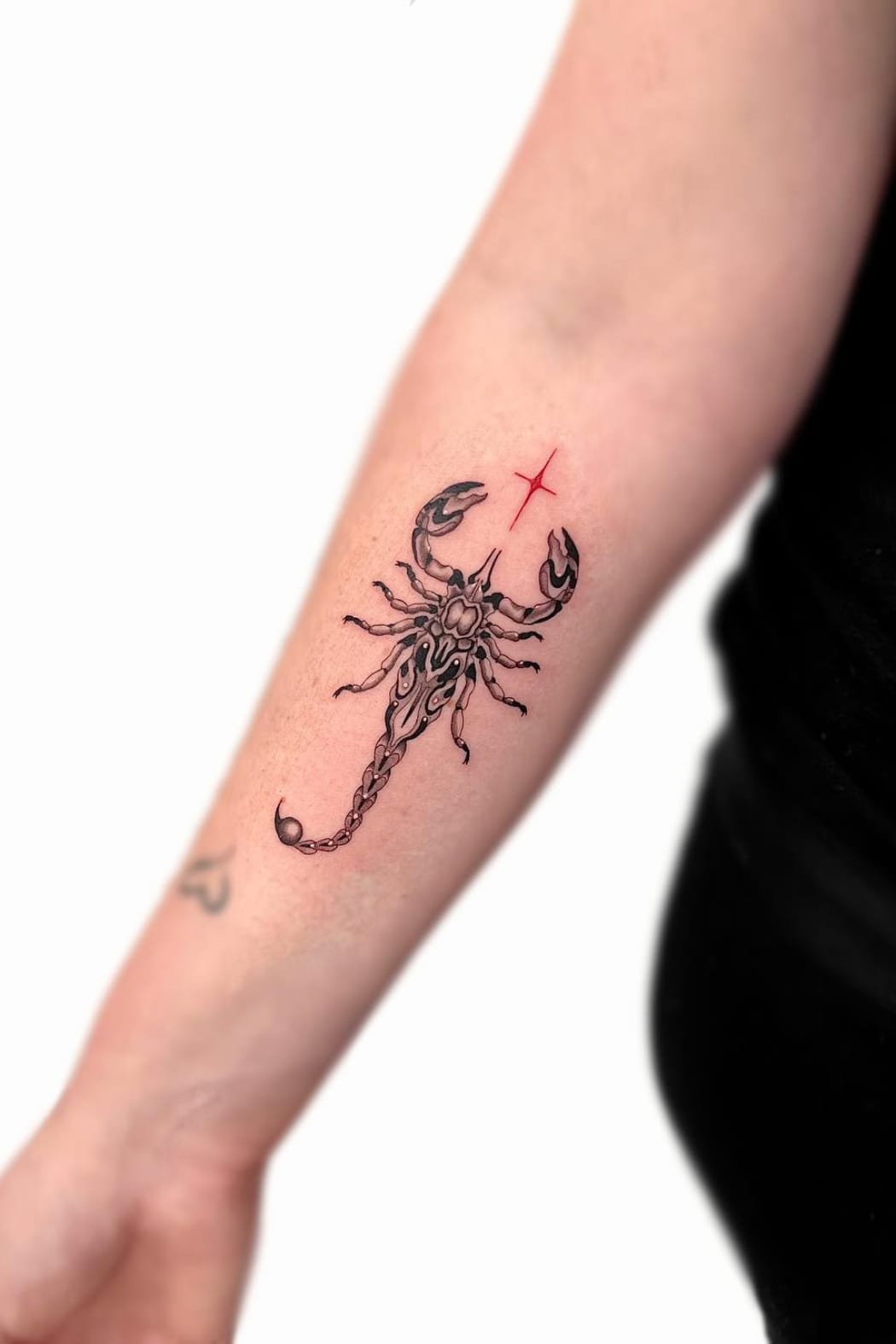 Scorpion Tattoo