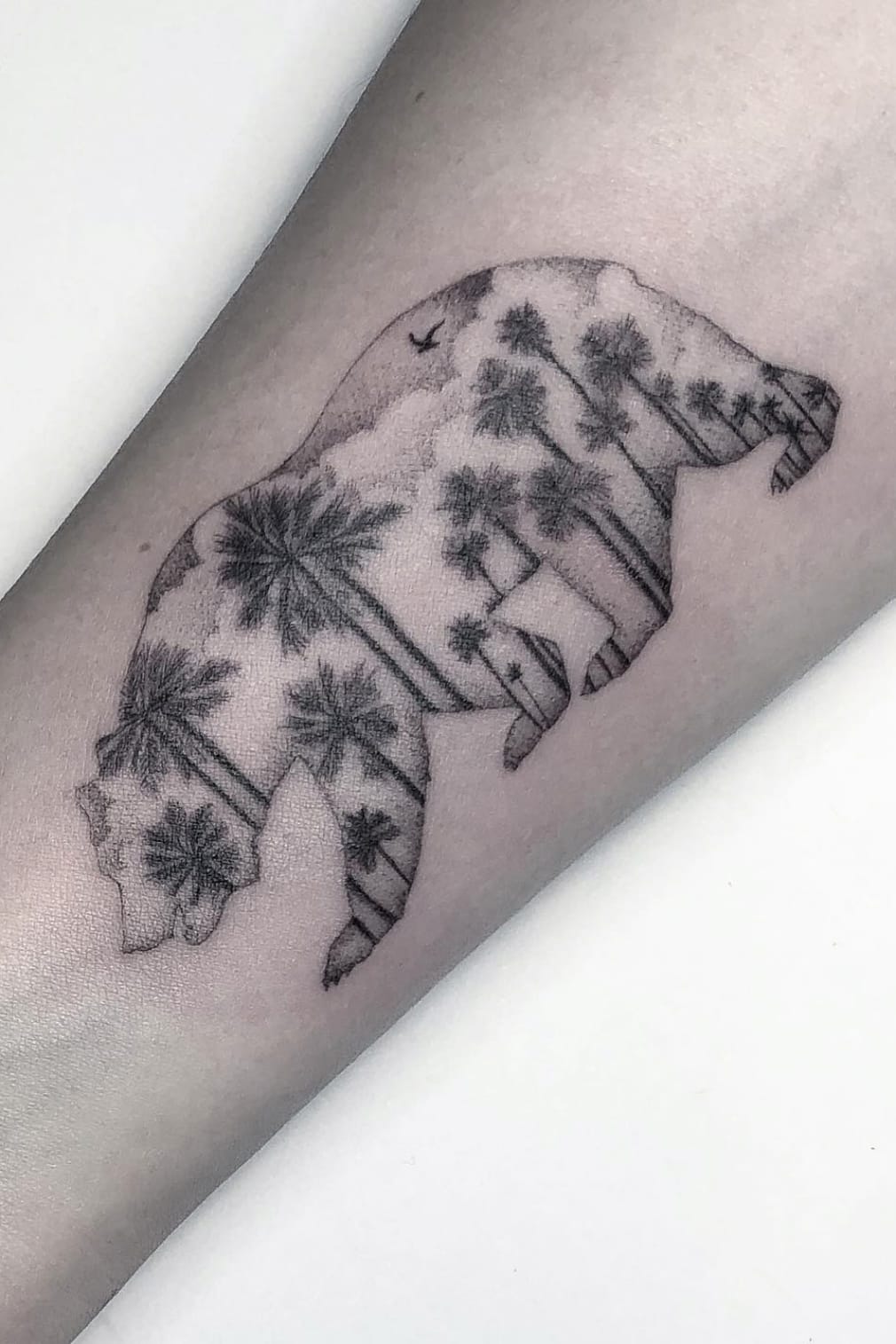 Bear and Tree Tattoo