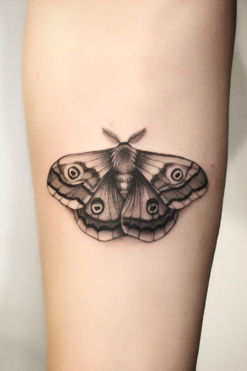 Black and White Moth Tattoo