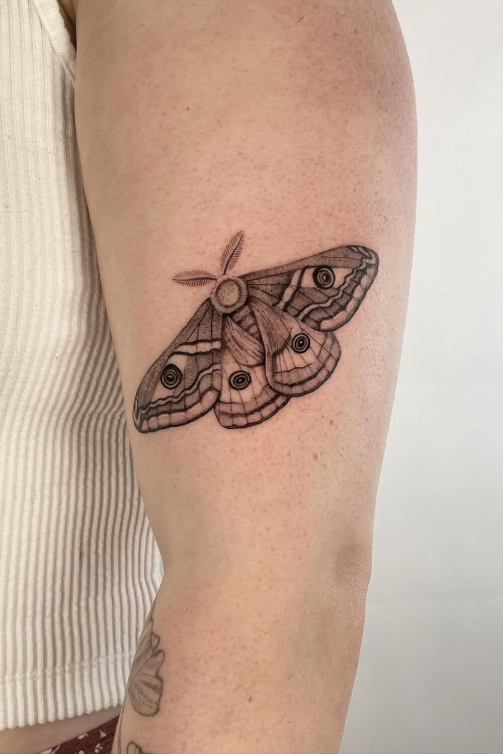 Emperor Moth Tattoo