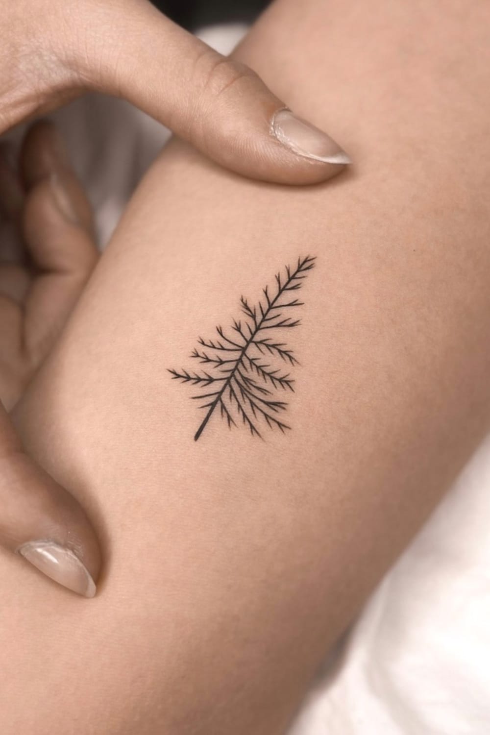 Minimalist Tree Tattoo