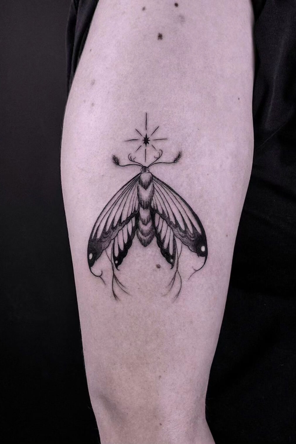 Star and Moth Tattoo