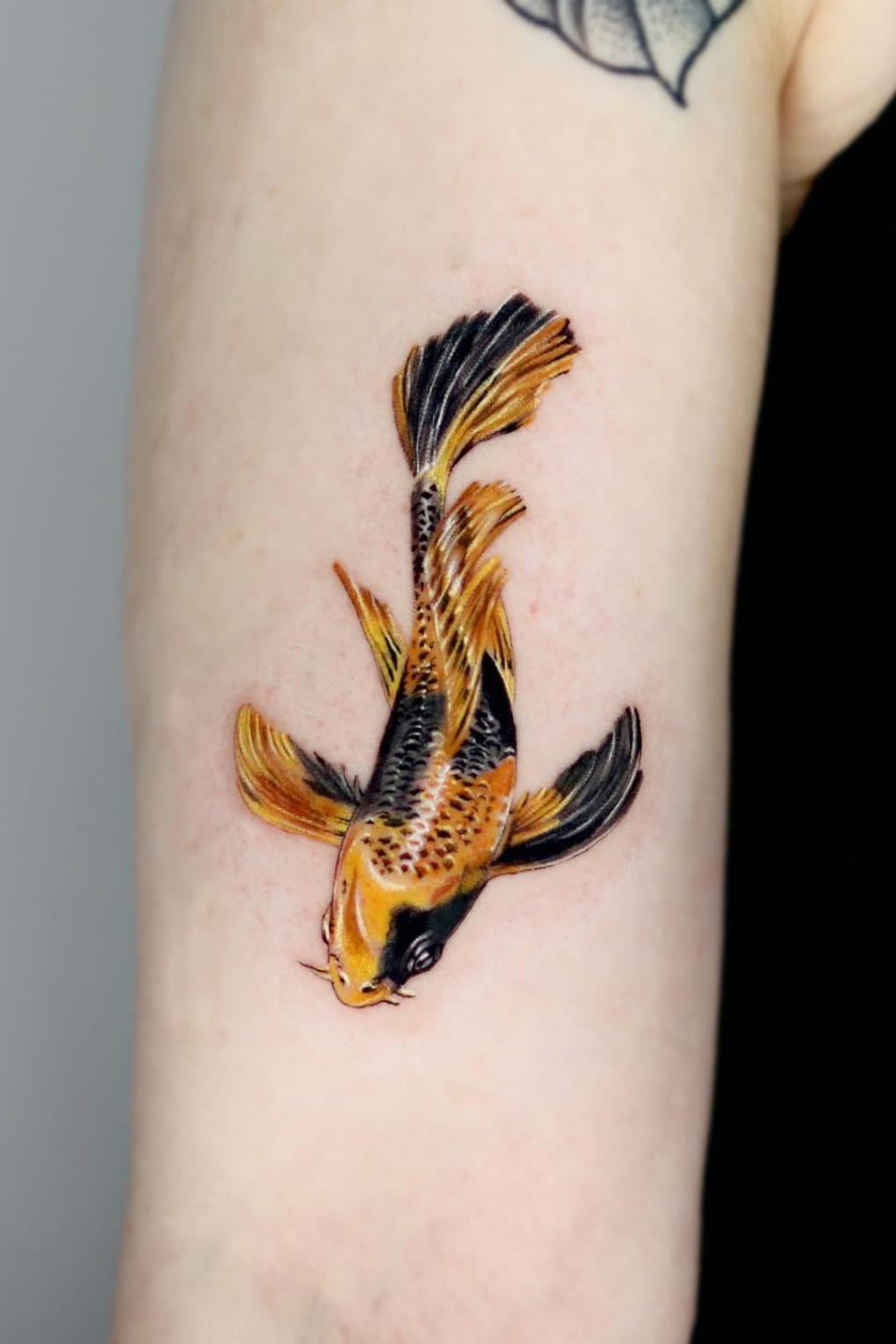 Gold Koi Fish Tattoo