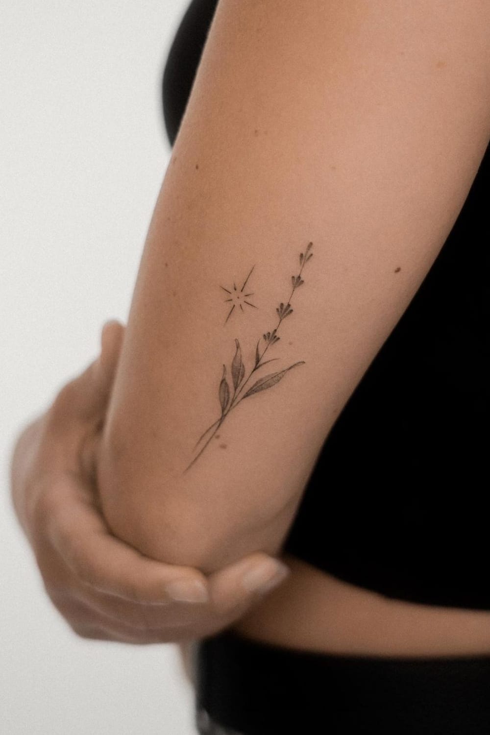 Star and Lavender Tattoo